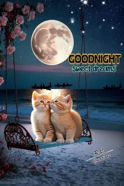 10 Good Night Images To Give You Very Sweet Dreams Good Night Blessings Quotes, Gm Images, Good Night Cards, Good Morning Christmas, Good Night Cat, Good Night Pics, Good Night Beautiful, Good Night Funny, Night Pics