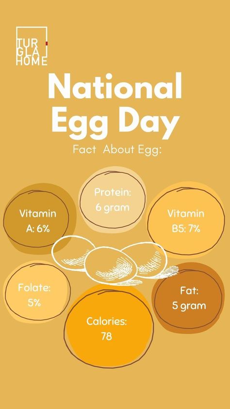 National Egg Day World Egg Day, National Egg Day, Egg Restaurant, Egg Project, Egg Facts, Chicken Store, Telur Ayam, Egg Benefits, Egg Protein