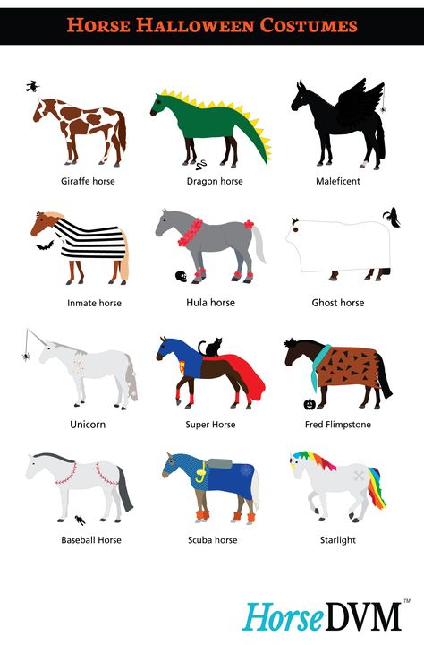 HorseDVM - Horse Halloween Costumes Superhero Horse Costume, Easy Horse Costumes Diy, Matching Halloween Costumes With Horse, Equine Costume Ideas, Black Horse Halloween Costumes, Equine Halloween Costumes, Pony Costume Horses, Halloween Costumes With Your Horse, Easy Horse Costumes For Horses