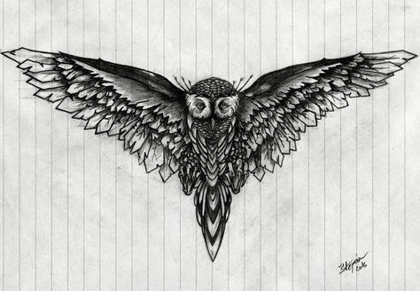 Stepan Urbanek owl wings drawing Owl With Open Wings Tattoo, Owl Tattoo Wings Open, Owl Open Wings Tattoo, Owl Stomach Tattoo, Owl Wing Tattoo, Owl Wings Drawing, Owl Wings Tattoo, Celtic Owl Tattoo, Sternum Tattoo Design