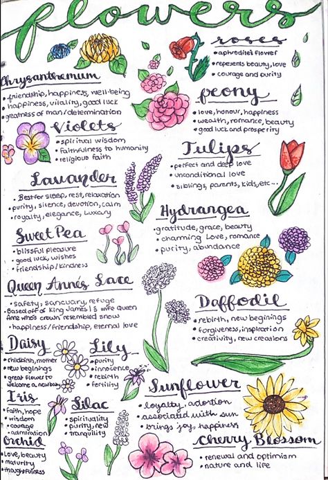 Flower Correspondences Witchcraft, Hydrangea Witchcraft, Spiritual Notes For Beginners, Violet Witchcraft, Book Of Shadows Ideas Inspiration, Witchcraft Journal, Tarot Significado, Witch Spirituality, Magic Spell Book