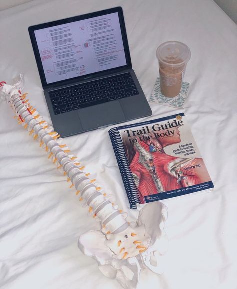 Chiropractic School Student, Chiropractic Student Aesthetic, Chiropractor Aesthetic, Medical Intern, Pt School, Doctor Of Chiropractic, Goal Board, Future Job, Future Jobs