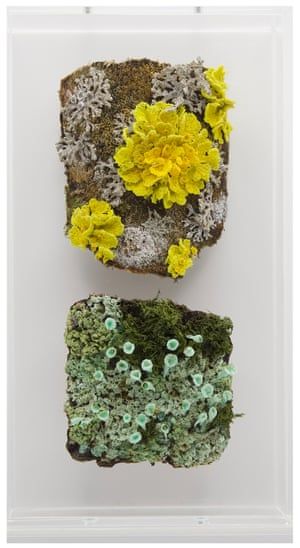 Embroidered sculptures of woodland treasures – in pictures | Art and design | The Guardian Best Color For Bathroom, Color For Bathroom, Creative Textiles, Textile Sculpture, Moss Art, Bath Towels Luxury, Blue Towels, Weaving Art, Soft Towels