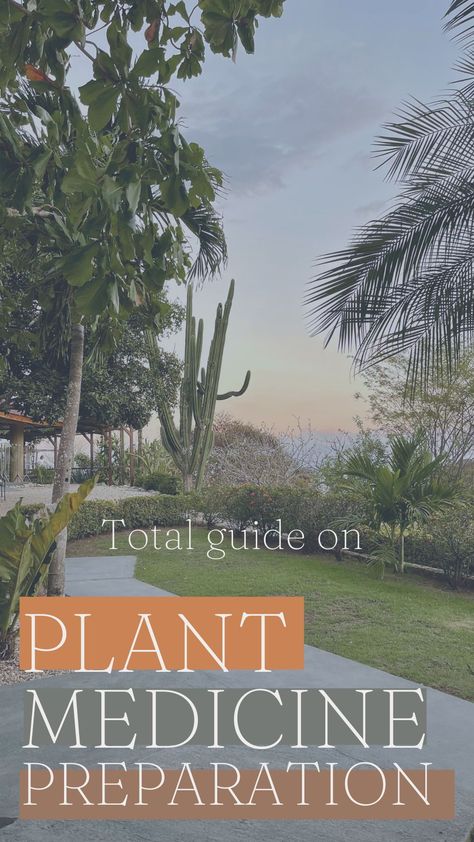 All the things you need to know before heading into your first plant ceremony. Dieta guidelines, why we do it, and how long. Natural Plant Medicine, Plant Medicine Ceremony, Plants As Medicine, Medicine Ceremony, Plants With Medicinal Purposes, Medicine Garden Healing Herbs, Plant Medicine, Vision 2024, Medicinal Plants