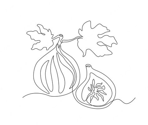 Fruit Simple Drawing, Fig Tree Drawing Simple, Fig Branch Drawing, Simple Fig Tattoo, Fig Line Drawing, Fig Drawing Simple, Fig Doodle, Pomegranate Tattoo Simple, Fig Tree Tattoo