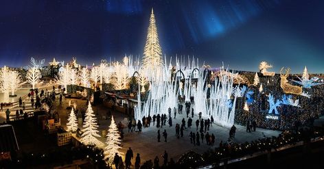 Brand new to Scottsdale for 2022, Enchant Christmas is a can't-miss holiday attraction. Best Christmas Light Displays, Christmas Skating, Tall Christmas Trees, Enchanted Christmas, Visit Arizona, Florida Christmas, German Christmas Markets, Best Christmas Lights, Arizona Road Trip