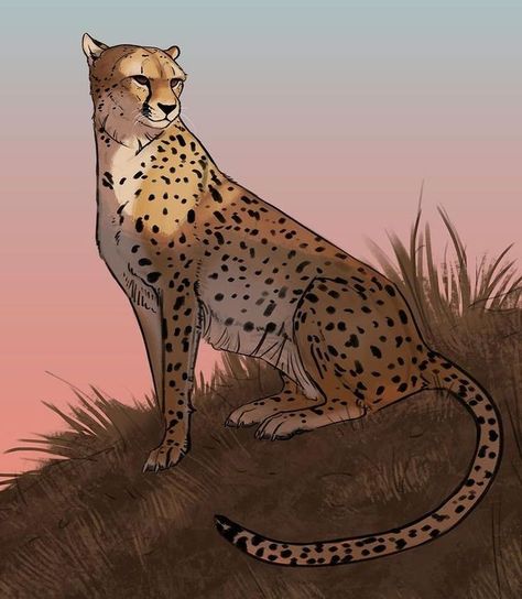 Cheetah Drawing, Practicing Drawing, Black Cat Anime, Spirit Animal Art, Big Cats Art, Fun To Draw, Greek Mythology Art, Canine Art, Spaceship Art