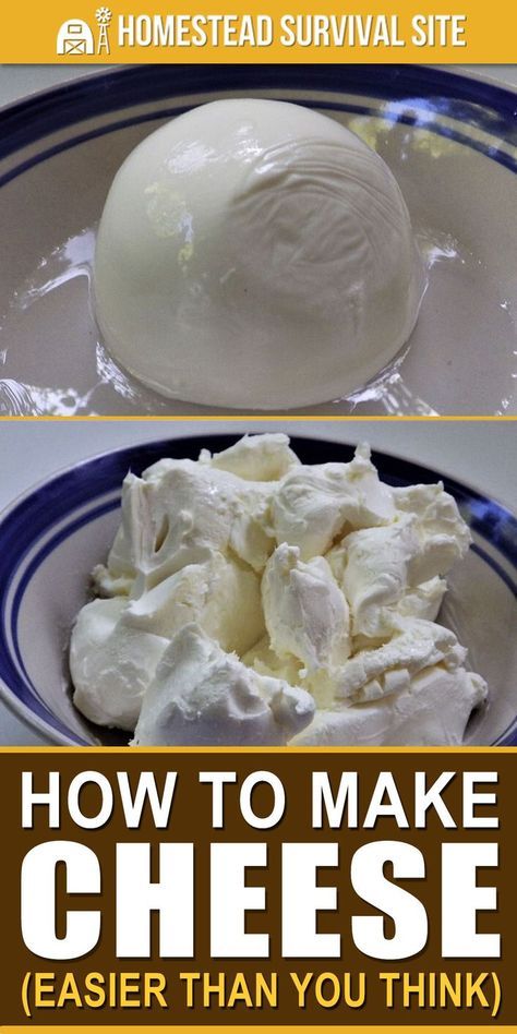 Homemade Mascarpone, Make Mozzarella Cheese, Cheese Sauces, Cheese Recipes Homemade, Cheese Making Recipes, Making Cheese, Diy Cheese, Homemade Cheese, Homestead Survival