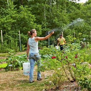 Four Tips to Prepare for the Worst Other Than Self Defense Biodynamic Gardening, Organic Vegetable Garden, Survival Gardening, Organic Gardening Tips, Organic Vegetables, Organic Farming, Pest Control, Permaculture, Garden Planning