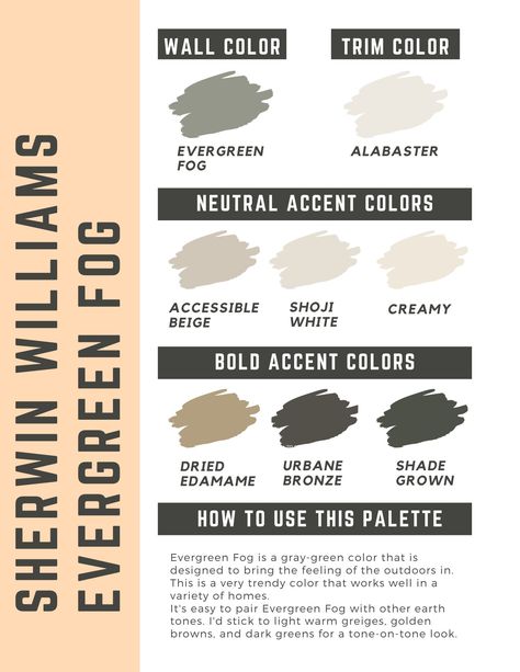 sherwin williams evergreen fog paint color palette Cavern Clay Sherwin Williams, Accessible Beige Sherwin Williams, Terra Cotta Paint Color, Iron Ore Sherwin Williams, Cavern Clay, Interior Paint Palettes, Evergreen Fog, Sherwin Williams Alabaster, Behr Colors