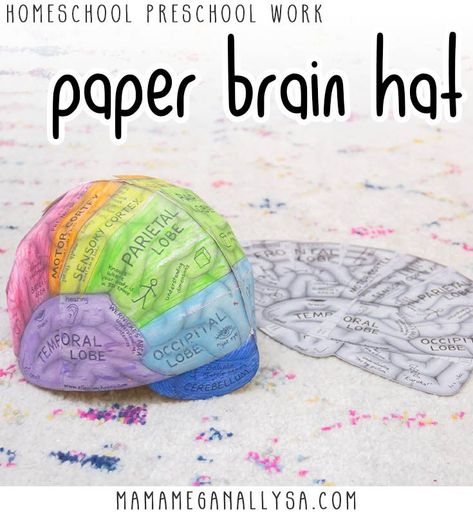 Brain Hats Printable, Play Doh Brain Model, Make A Brain Model, Brain Homeschool Activities, Brain Cap Printable, Brain Kindergarten Activities, Brain Hat Printable Free, Cauliflower Brain Model, Brain School Project Ideas