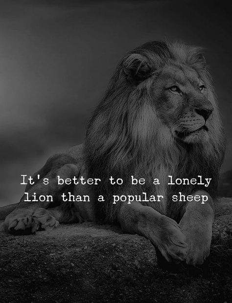 ~ It's better to be a lonely lion than a popular sheep Lion Quotes, Bad Language, Intelligent People, Fake People, Warrior Quotes, Go To Bed, Popular Quotes, Badass Quotes, A Lion