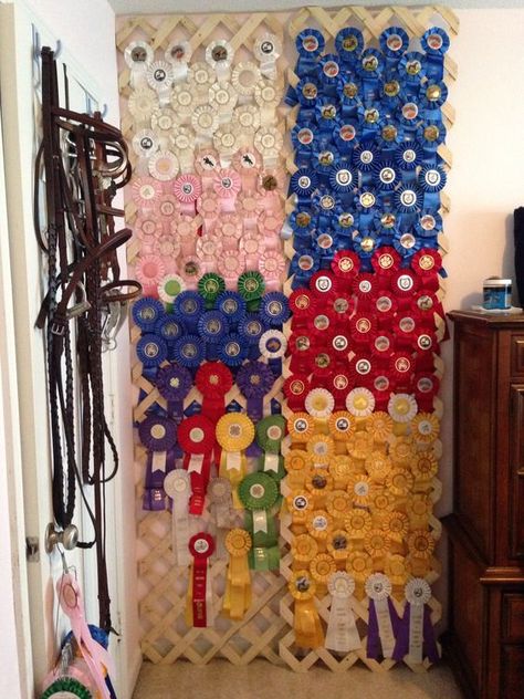 Horse Ribbons Display Ideas, Horse Show Ribbon Display, Horse Ribbon Display, Show Ribbon Display, Wire Fence Panels, Horse Show Ribbons, Horse Ribbons, Ribbon Display, Horse Magazine