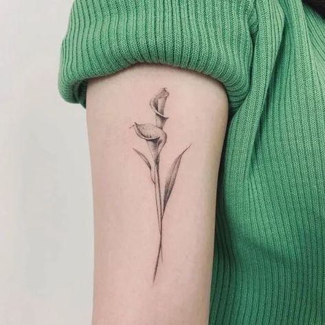 Calla Lily Tattoo. Calla Lily Tattoo, Braille Tattoo, Lilly Flower Tattoo, Roots Tattoo, Charm Tattoo, Lillies Tattoo, Lily Tattoo Design, Tulip Tattoo, Feminine Tattoo Sleeves