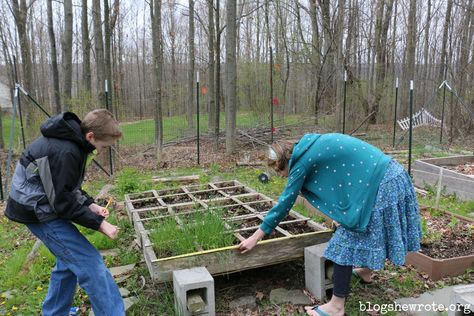 Gardening as a Tool for Teaching Science Fun Garden Projects, Nature Journals, How To Focus, Square Foot Gardening, Science Fair Projects, Forest School, Nature Study, Plant Roots, Photosynthesis