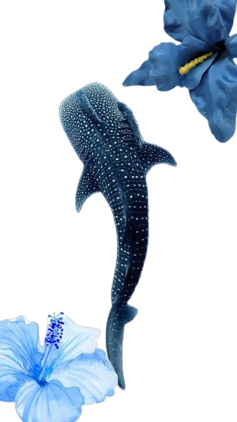 Whale Shark Wallpaper, Shark Wallpaper, Whale Shark, Animals