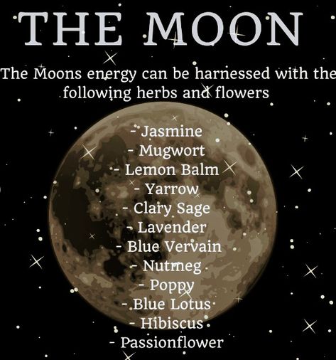 Full Moon Magick, Moon Worship, Magick Rituals, Moon Magick, Blue Lotus, Clary Sage, Lavender Blue, Witchy Things, Moon Phases