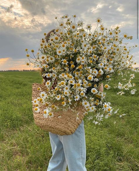 Emily + Core + Aesthetic, Collage Des Photos, Boquette Flowers, Nothing But Flowers, Flowers Aesthetic, Flower Therapy, Spring Aesthetic, Foto Ideas Instagram, Green Flower