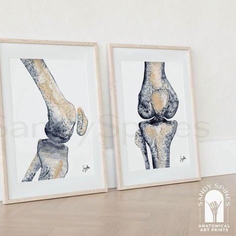 Watercolor Knee Structure Scraped Knees Drawing, Knee Structure, Physiotherapy Art Painting, Osteopathy Art, Chiropractic Art, Knee Surgery Memes Humor, Medical Office Decor, Medical Office Design, Skeleton Sticker