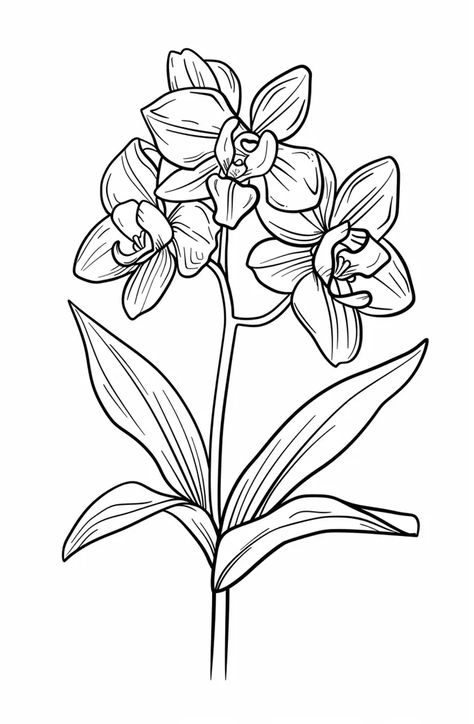 Detailed line drawing of a three-bloom orchid with leaves. Orchid Drawing Simple, Orchid Outline, Orchid Drawing, Clean Art, Flower Minimalist, A Line Drawing, Orchid Leaves, Leaf Drawing, Orchid Flower