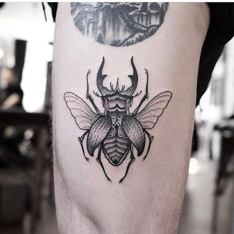 Black And White Traditional, Beetle Tattoo, Serpent Tattoo, Insect Tattoo, Bug Tattoo, X Tattoo, Fire Tattoo, Tattoo Portfolio, Tattoo Videos