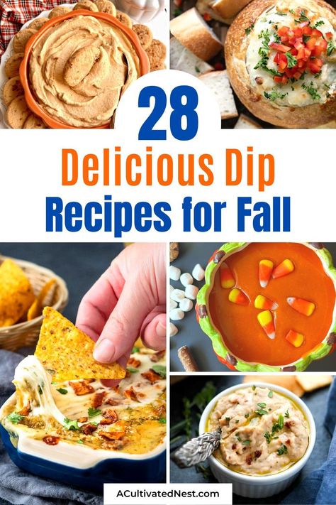 28 Tasty Fall Dip Recipes- Craving fall comfort food? Dive into a world of savory and sweet fall dips! Explore mouthwatering dip recipes that celebrate the flavors of the season. Perfect for game day, parties, or cozy nights in. | #FallRecipes #dipRecipes #ComfortFood #appetizerRecipes #ACultivatedNest Fall Dip Recipes, Fall Dips, Slow Cooker Pumpkin Butter, Pumpkin Cream Cheese Dip, Fall Dip, Crab And Artichoke Dip, Best Dip Recipes, Pumpkin Dip, Delicious Dips Recipes