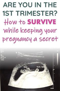 The first trimester of pregnancy is tough. Maybe you’ve been hoping, trying and praying for this pregnancy or maybe it is a bit of surprise. Either way, let’s chat about first trimester pregnancy symptoms. What you can expect and how to cope with them. With our help, you’ll be feeling (at least a little) better in no time. 3rd Trimester, First Trimester Pregnancy, Fingerfood Baby, 1st Trimester, Pregnancy Information, Pumping Moms, Baby Sleep Problems, Second Trimester, Trimesters Of Pregnancy