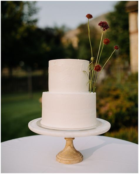 Simple Unique Wedding Cake, White Wedding Cake Simple, Modern Wedding Cake 1 Tier, Frosted Wedding Cake, Petite Wedding Cake, 2 Tier Wedding Cake Simple, Modern Wedding Cake Single Tier, Simplistic Wedding Cake, Wedding Cake Minimal