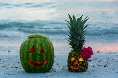 Tropical Halloween Tropical Halloween, Tropical Safari, Halloween Style, Halloween Fashion, Diy Halloween Decorations, Future Kids, Holidays Halloween, 40th Birthday, Halloween Ideas