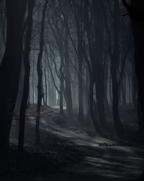 dark road Dark Naturalism, Misty Forest, Dark Places, Dark Forest, Enchanted Forest, Fantasy Landscape, Belle Photo, Dark Aesthetic, Dark Art