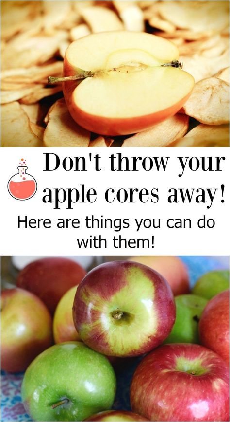 Don't throw away apple cores! Here are some awesome things you can do with leftover apple cores! Leftover Apples, Food Preserving, Apple Core, Coconut Health Benefits, Benefits Of Coconut Oil, Fall Inspiration, Fall Diy, Health Blog, Canning Recipes