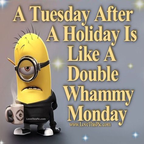 A Tuesday After a Holiday Tuesday Meme, Monday Holiday, Monday Pictures, Happy Tuesday Quotes, Funny Images With Quotes, Good Morning Tuesday, Morning Memes, Minion Pictures, Tuesday Quotes