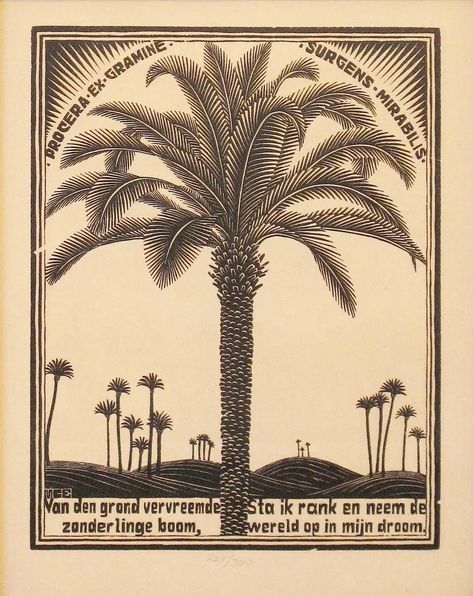 Escher Art, Palm Tree Drawing, M C Escher, Palm Tree Art, Palm Tree Tattoo, Mc Escher, Woodcuts Prints, Tree Illustration, Wood Engraving