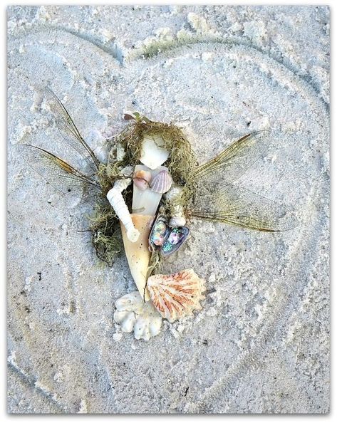 Seashell mermaid fairy Siesta Key                                                                                                                                                                                 More Shell Creatures, Seashell People, Florida Crafts, Sea Inspired Art, Seashell Mermaid, Shell Creations, Wallpaper Old, Shell Projects, Mermaid Stuff