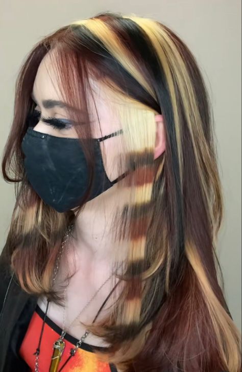 Skunk Hair, Cotton Candy Hair, Y2k Hair, Candy Hair, Dyed Hair Inspiration, Hair Streaks, Pretty Hair Color, Hair Stylies, Haircuts For Medium Hair