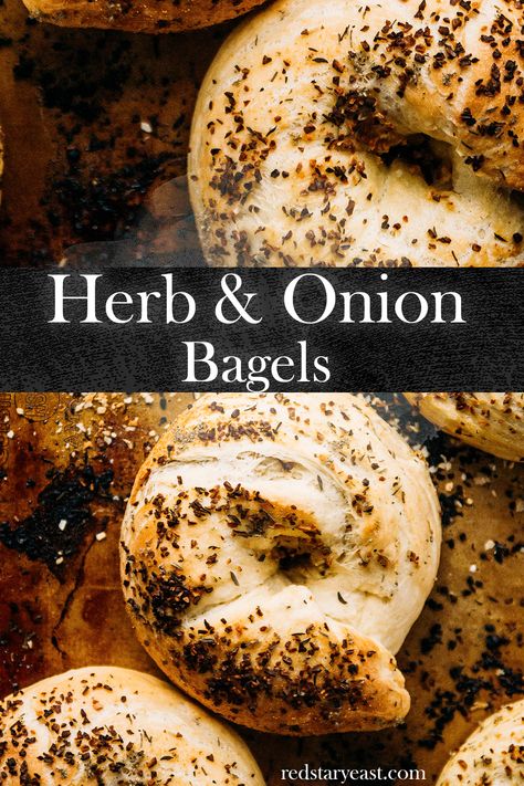 Bagels Recipe Homemade, Bagels Homemade, Vegan Bagels, Bagel Recipes, Bagel Spread, Onion Bagel, Vegan Bagel, Bagels Recipe, Sourdough Bagels