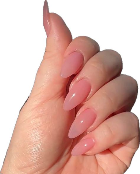 Oval Clear Nails, Natural Pink Jelly Nails, Simple Pink Gel Nails, Translucent Pink Nails Gel, Clean Pink Nails, Natural Pink Nails, Uñas Aesthetic, Pale Pink Nails, Matte Pink Nails