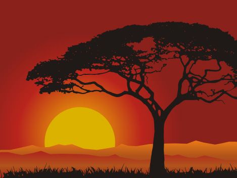 Landscape #colheitavirtual Lion King Tree, Lion King Play, Silhouette Arte, Lion King Costume, Lion King Musical, Lion King Jr, African Sunset, African Paintings, Lion King Art