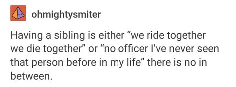 He really didn't get his relationship with Trixx Trisha Elric, Text Posts, Tumblr Funny, Tumblr Posts, In My Life, Relatable Quotes, Writing Prompts, Funny Texts, Really Funny