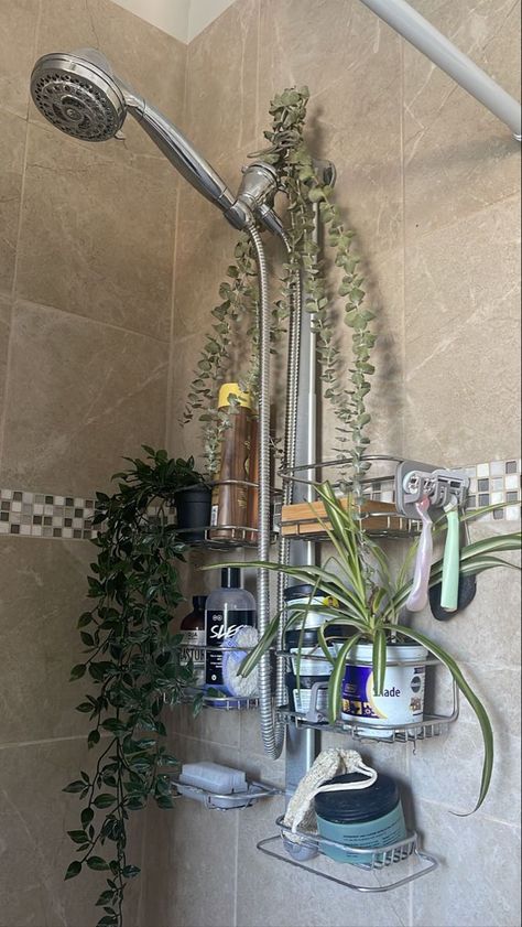 Flowers In The Shower Bathroom, Dream Apartment Aesthetic Bathroom, Bathroom Aethestic, Granola Bathroom, Plant Shower Aesthetic, Warm Apartment Aesthetic Bathroom, Plants Shower Bathroom, Small Shower Decor, Bathroom Eucalyptus Decor