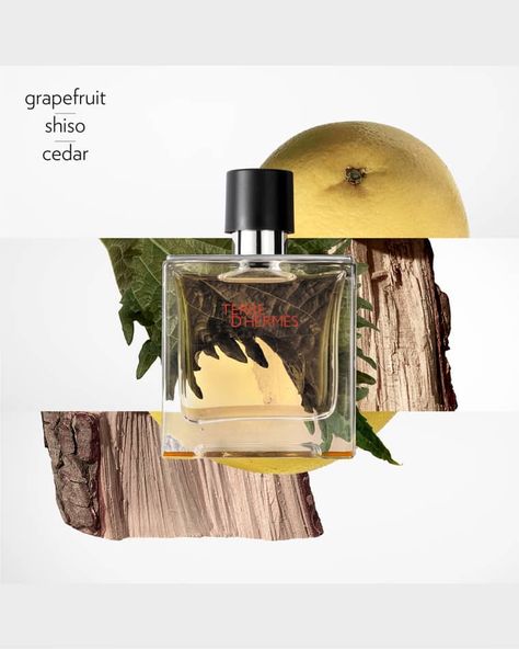 C0TLD Hermes Terre d'Hermes Parfum, 2.5 oz. Hermes Fragrance, Woody Perfume, Hermes Perfume, Key Notes, Perfume Ad, Perfume Set, Spicy Fragrance, The Perfume, Perfume Gift Sets