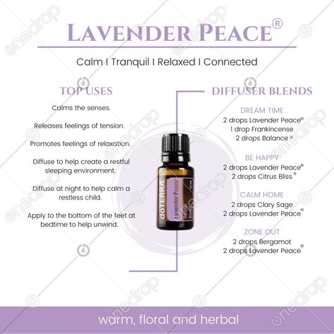 Lavender Peace Restful Blend has a calming and relaxing aroma that provides a unique user experience. This perfectly balanced blend includes essential oils renowned for their soothing and calming properties. Cedarwood, Ho Wood and Vetiver essential oils give Lavender PeaceTM a grounding and soothing... #lavender peace #lavender peace uses #lavender peace diffuser blends #calm #sleep #relax #wellnessadvocate #doterra #wellnessstockphotos #onedropdesigns #doterrawellnessadvocate #doterratips #dote Lavender Peace Doterra, Peace Diffuser Blends, Peace Doterra, Eo Blends, Doterra Lavender, Doterra Diffuser Blends, Vetiver Essential Oil, Doterra Wellness Advocate, Essential Oil Blends Recipes