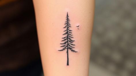 15 Pine Tree Minimal Tattoos for Evergreen Ink Lovers Pine Tree Back Tattoo, Bald Cypress Tree Tattoo, Pine Tree Spine Tattoo, Eastern White Pine Tattoo, Simple Tree Tattoos For Women, Blue Spruce Tattoo, Little Tree Tattoo, Forest Theme Tattoo, Spruce Tree Tattoo