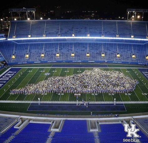 University Of Kentucky Aesthetic, Kentucky Aesthetic, Act Score, University Of Ky, Big Blue Nation, Uk Wildcats, Uk Football, Dream College, University Of Kentucky