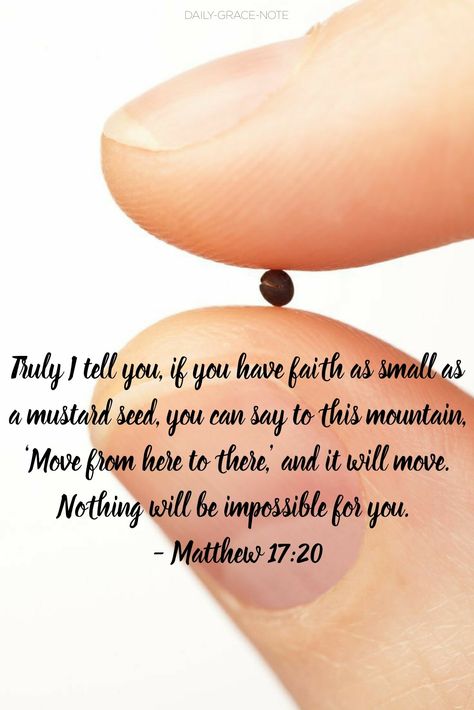 Truly I tell you, if you have faith as small as a mustard seed, you can say to this mountain, ‘Move from here to there,’ and it will move. Nothing will be impossible for you - Matthew 17:20 If You Have Faith As A Mustard Seed, Mustard Seed Verse, Faith Of A Mustard Seed Quote, Faith As Small As A Mustard Seed, Mustard Seed Faith Quote, Matthew 17:20, Faith Of Mustard Seed, Faith Like A Mustard Seed, Seed Quotes