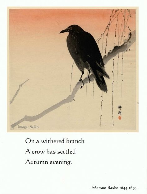 On a withered branch A crow has settled - Autumn evening. - Basho, 1644-1694. Japanese haiku poet and diarist #haiku #japanese #poetry #basho Matsuo Basho Haiku, Asian Poetry, Zen Poetry, Zen Proverbs, Matsuo Basho, Draw Wings, Chuang Tzu, Raven Artwork, Japanese Haiku