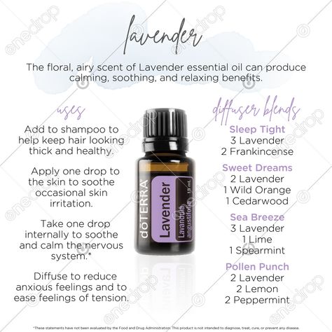 Brittany font Collection of Oilshttps://bit.ly/3nib37YLavenderThe floral, airy scent of Lavender essential oil can produce calming, soothing, andrelaxing benefits. Because it provides the user with comforting benefits for severalareas of the body and mind, Lavender oil has seemingly limitless applic... #lavender #lavender benefits #lavender diffuser blends #how to use lavender #top 10 oil #Lavender uses #wellnessadvocate #doterra #wellnessstockphotos #onedropdesigns #doterrawellnessadvocate #dot Lavender Diffuser Blends, Brittany Font, Lavender Essential Oil Benefits, Lavender Diffuser, Lavender Uses, Doterra Lavender, Lavender Benefits, Doterra Wellness Advocate, Essential Oil Benefits