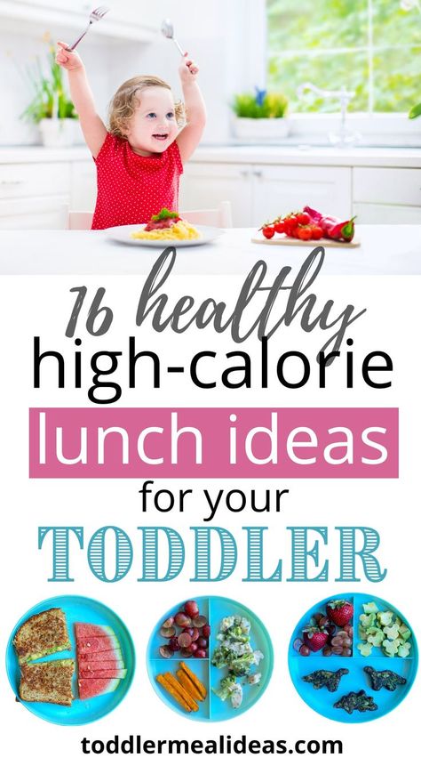 High Calorie Lunches, Blw Lunch, High Calorie Baby Food, High Calorie Breakfast, Lunches Healthy, High Calorie Smoothies, Toddler Lunch Ideas, Easy Toddler Lunches, Meal Plan For Toddlers