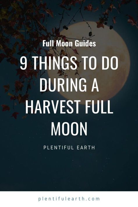 Full Harvest Moon: 9 Things To Do During This Full Moon Harvest Moon Manifestation, Harvest Moon Affirmations, Full Moon Things To Do, Harvest Full Moon 2023, Harvest Moon Ritual Wicca, Harvest Moon Party Ideas, Full Harvest Moon Spells, Corn Moon Ritual, Harvest Moon Food Ideas