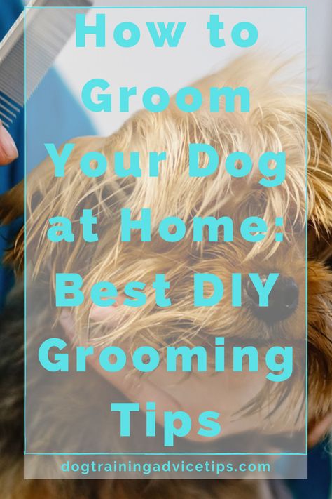 There are numerous dog grooming procedures that you may safely do in the privacy of your own home. Here are some of the best DIY grooming tips! #dogtrainingadvicetips #dogcare #doghealth #dogtips #dogs Dog Grooming At Home Diy, How To Groom Your Dog At Home, Dog Grooming At Home, Grooming Hacks, Dog At Home, Nail Trimming, Dog Grooming Salons, Dog Grooming Tips, Daily Hacks